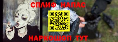СК Гатчина