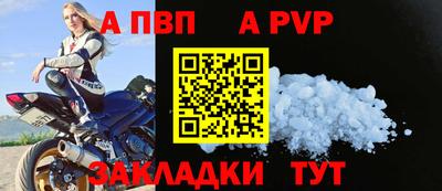 СК Гатчина