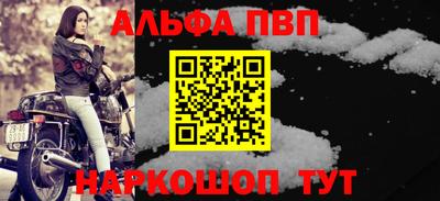 СК Гатчина