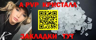 СК Гатчина